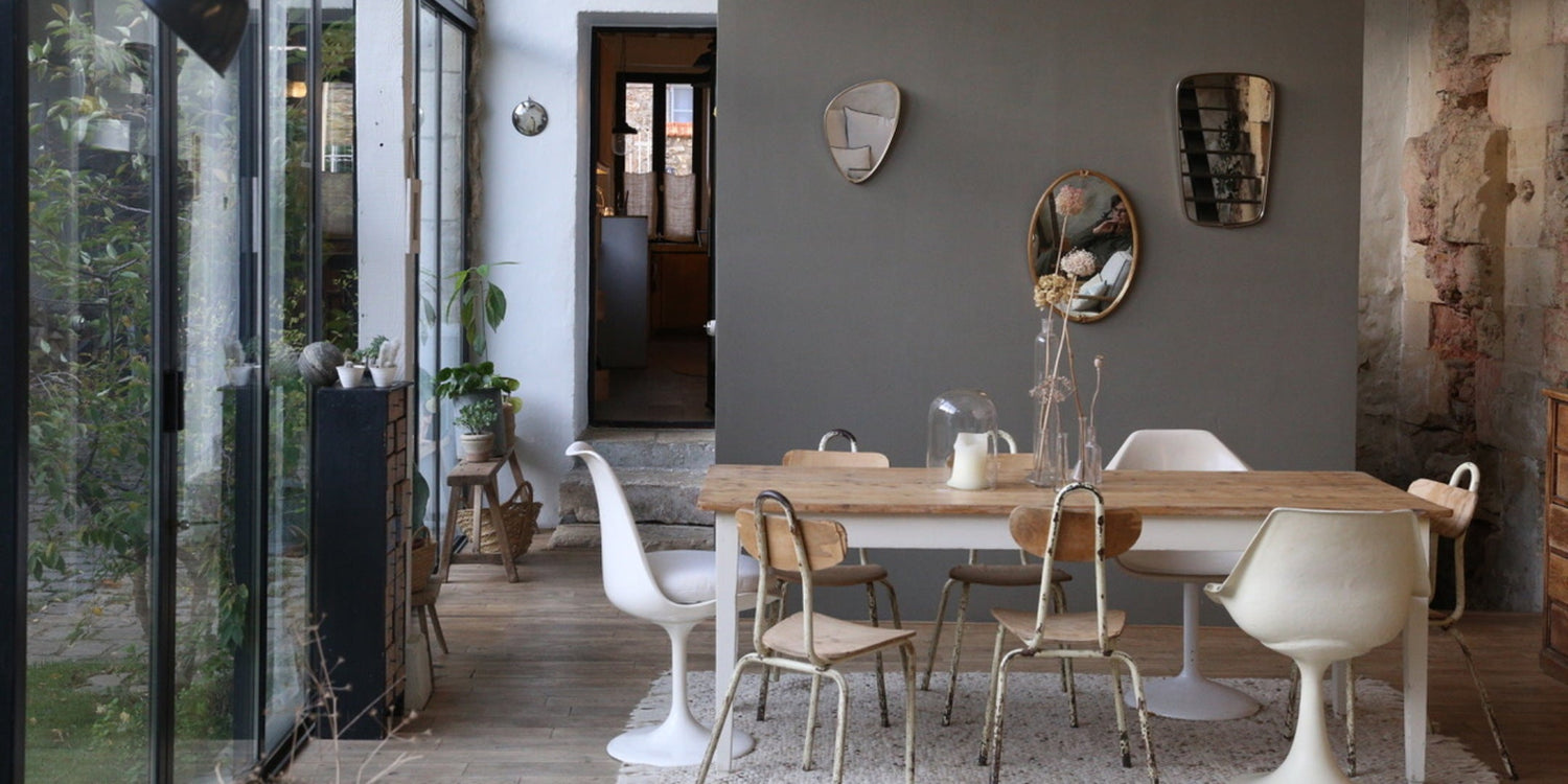 Conversation avec Alexandra @belettepetite - Le Monde Sauvage