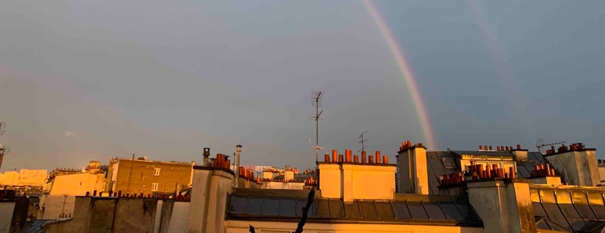 Ça n'aura pas servi à rien - Le Monde Sauvage