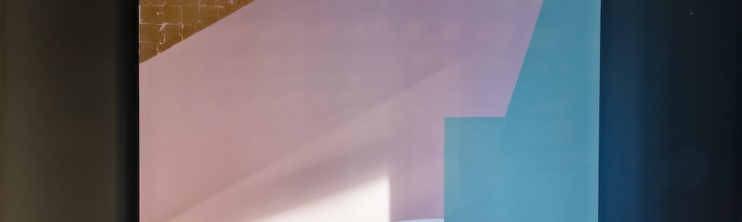 Conversation avec Rebecca Kierszbaum - Le Monde Sauvage