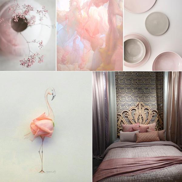 Inspiration couleur : rose poudré - Le Monde Sauvage