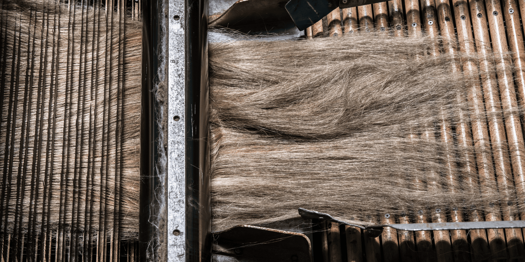 Le lin, une fibre responsable, ancrée en Europe