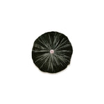 Coussin Sweet Pin - Le Monde Sauvage