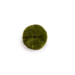 Coussin Sweet Hanoï