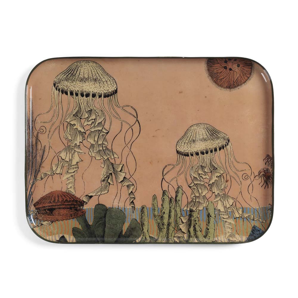 Plateau Atari Jelly