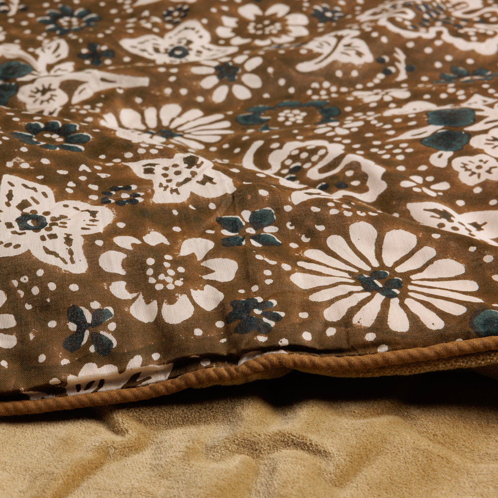 Édredon Akiko Reiko Corcovado - Le Monde Sauvage