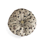 Coussin Totoro Paris - Le Monde Sauvage