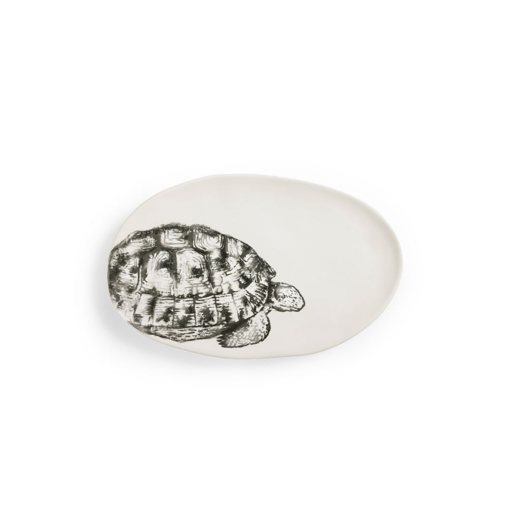 Céramique Estampe Tortue