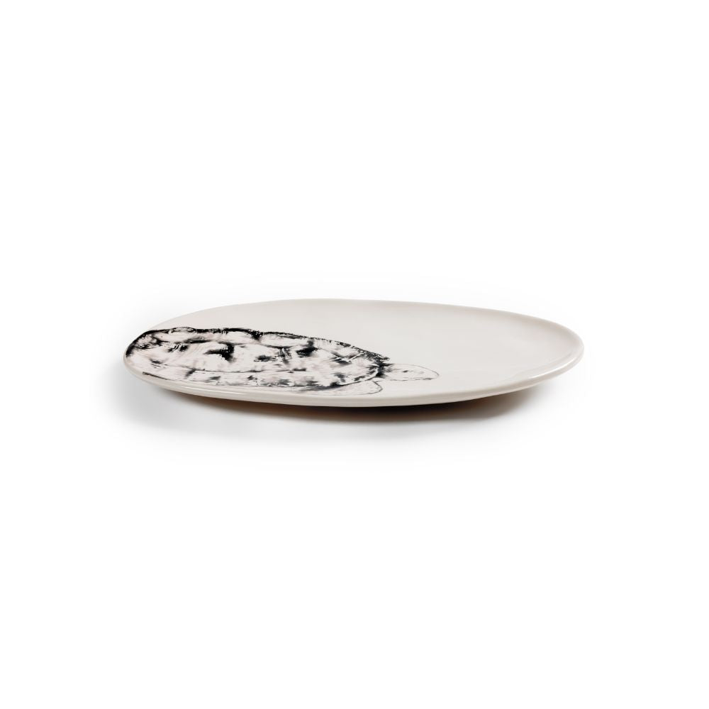 Céramique Estampe Tortue