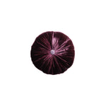 Coussin Sweet Lhassa