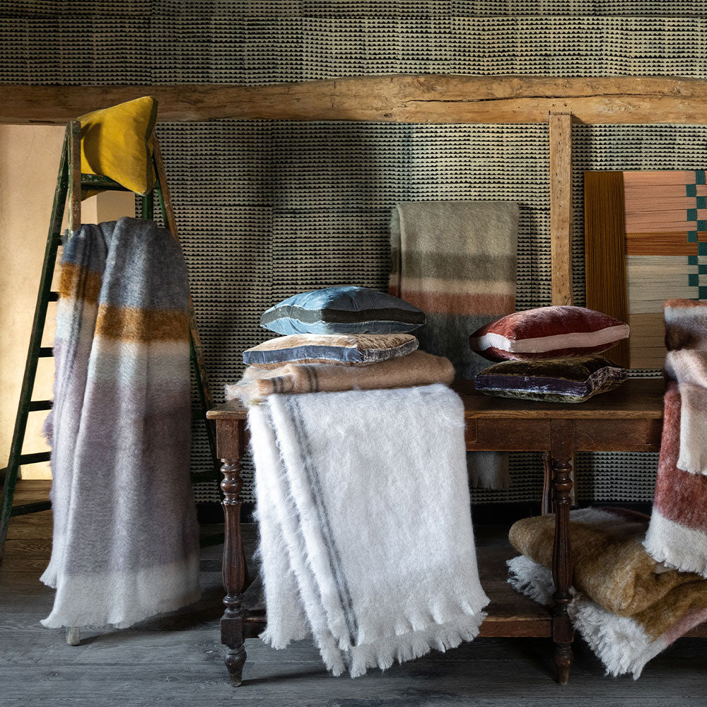 Plaid Aodha Lappi